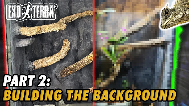 How To Build A Paludarium (Part 2: The Background)