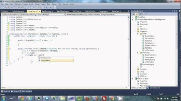 Data Importer 6 - Custom Fields and Properties