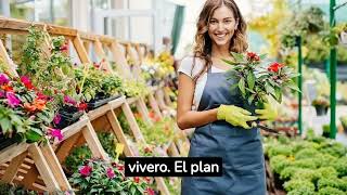 Los 5 pasos para abrir un Vivero