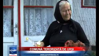 COMUNA TERORIZATA DE URSI