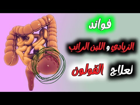 فوائد الزبادي و اللبن الرائب لعلاج القولون