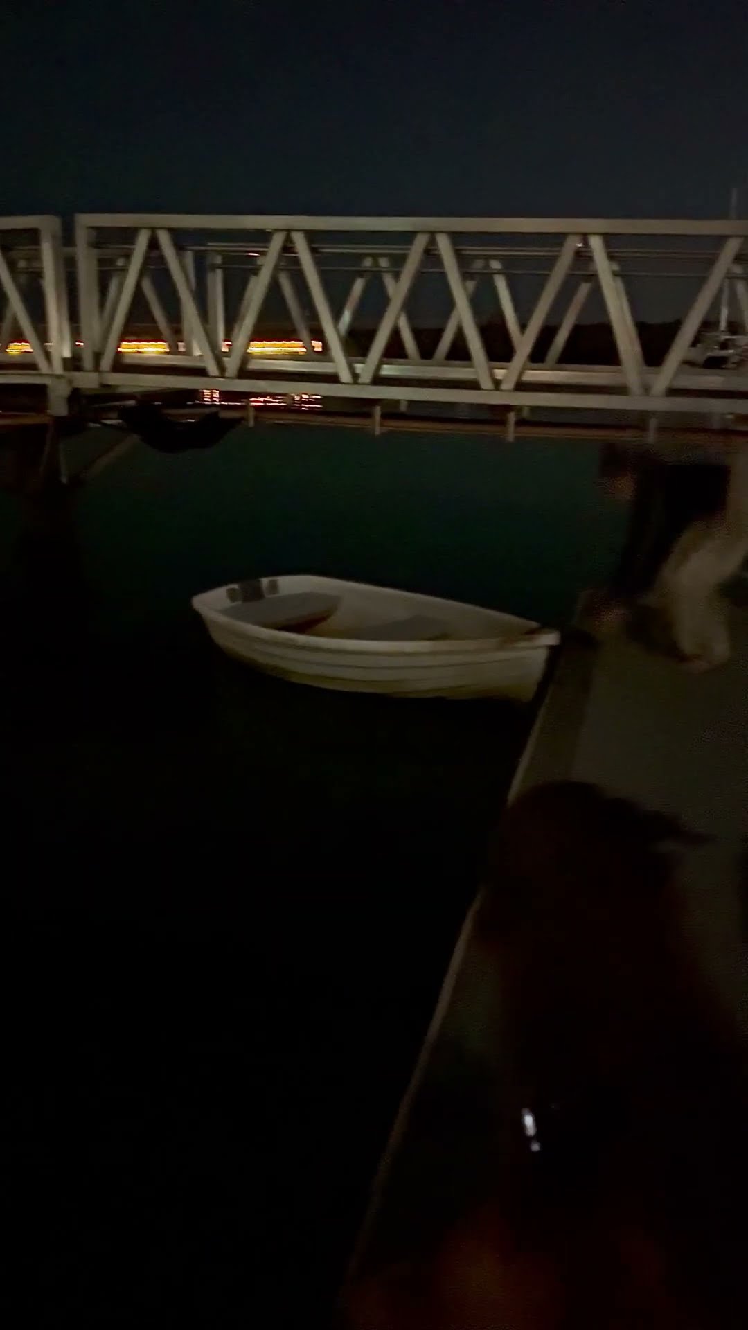 Boater Experiences Bioluminescence in Melbourne || ViralHog