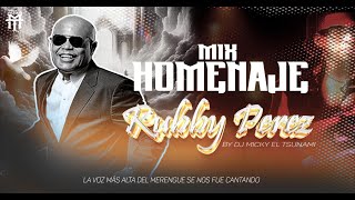 Famous Mix Rubby Perez Homenaje Dj Micky El Tsunami Profile