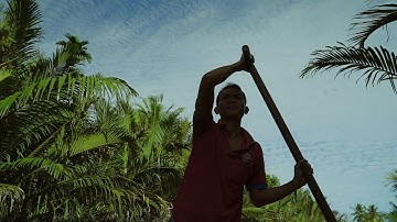 Vietnam - A Day On The Mekong Delta River