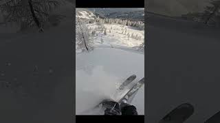Freeride run /  Planai Schladming
