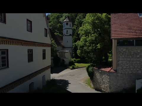 Video: Meeressäugetiere Hassen Drohnen, Sagt Die Wissenschaft