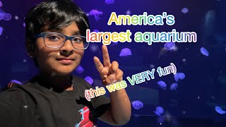 I WENT TO AMERICAS LARGEST AQUARIUM! Part 1 #Atlanta #aquarium #DIML