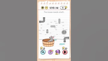BRAIN TEST LEVEL 318