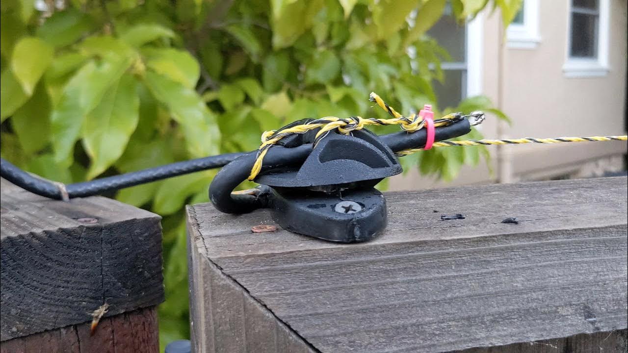 Backyard polywire electric fence to keep raccoons out of the pool YouTube