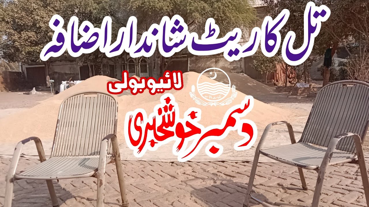 Best Till Rate Today | Galla Mandi Update | Tilli Rate Today | Sesame Crop Rate