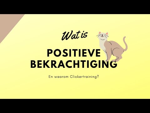 Video: Is positieve bekrachtiging goed?