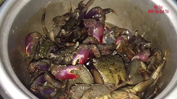 Miền tây quê tôi - Tập 61 - Giao lưu cùng anh Đạt, anh Tuấn Củ Chi đi bắt ba khía hấp bia