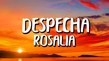 ROSALÍA - Despecha (Letra/Lyrics)