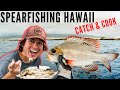Spearfishing Hawaii Mu CATCH AND COOK {and aquarium build!}