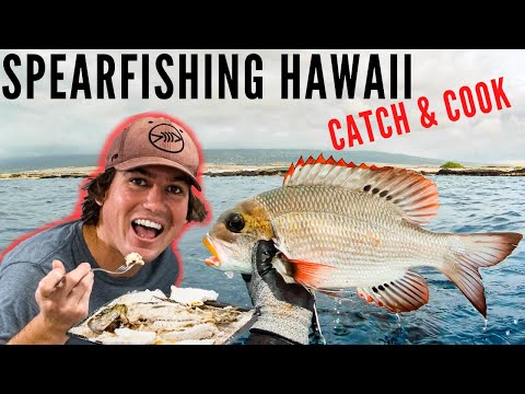 spearfishing-hawaii-mu-catch-and-cook-{and-aquarium-build!}