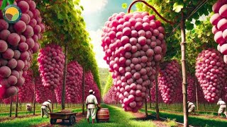 Inside a Modern Grape Processing Plant: From Fresh Grapes to Premium Wine (Full Factory Process)