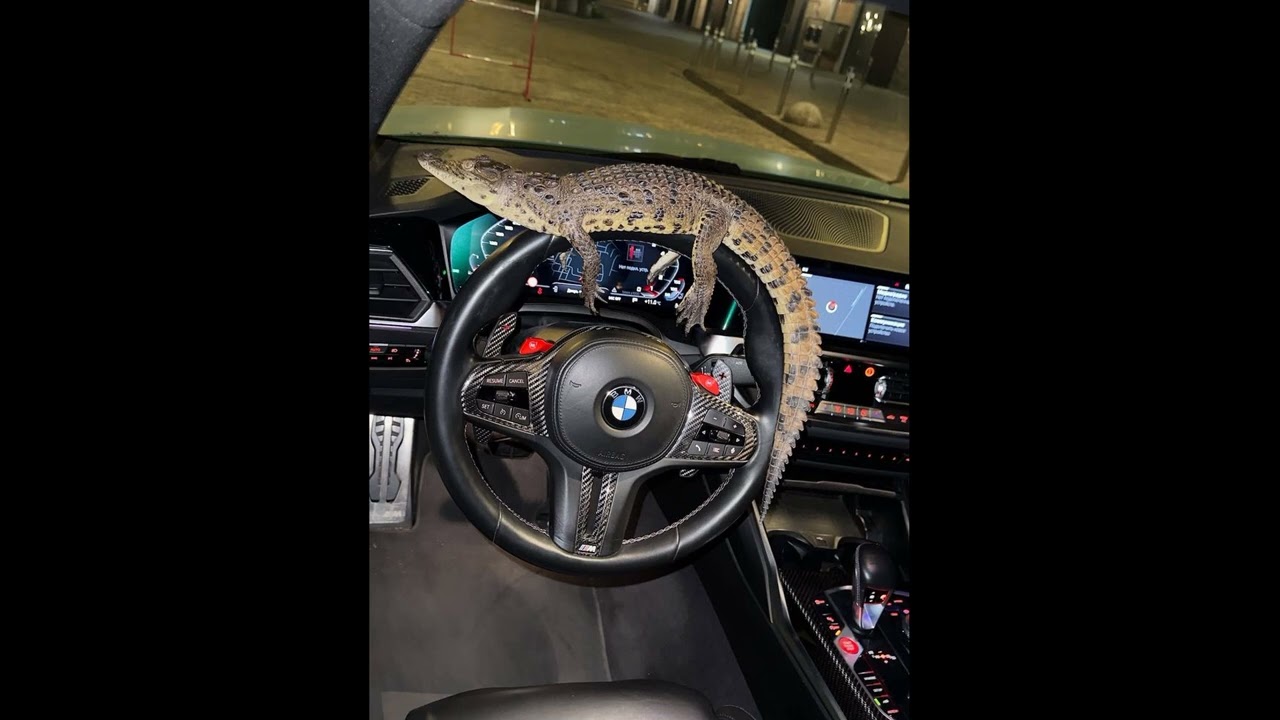 [FREE] KAVAK x LVBELC5 x ERA7CAPONE Type Beat - “PEDER”