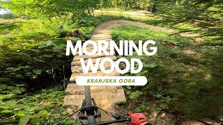 Morning Wood Flow Trail Bikepark Kranjska Gora Slovenia 🇸🇮 full run POV RAW