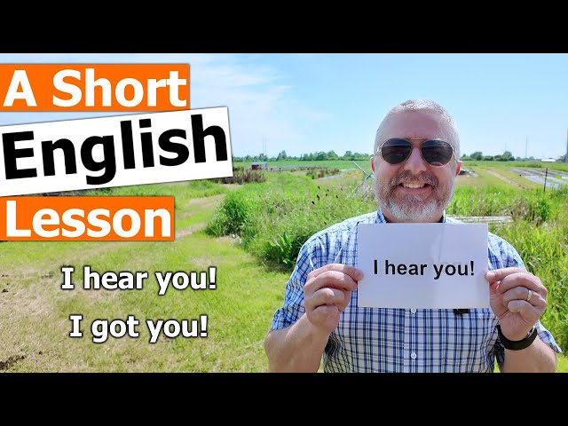 Learn the English Phrases I hear you! and I got you! class=