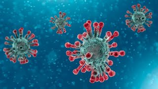 WATCH LIVE: King County leaders address 'harmful misperceptions' about coronavirus