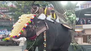 Elephant Attack കൂർക്കഞ്ചേരി പൂയത്തിനു ആന ഇടഞ്ഞപ്പോൾ ആനപ്പുറത്തിരുന്നവർ രക്ഷപെടുന്ന കാഴ്ച്ച | 2022