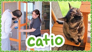 Building a Catio for the Kitties!