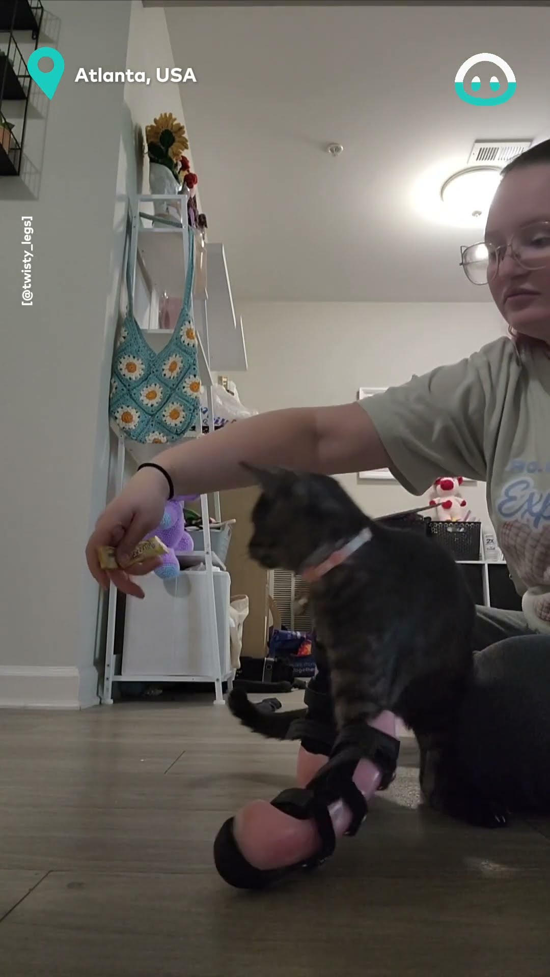 Kitten Tests out Leg Brace || ViralHog