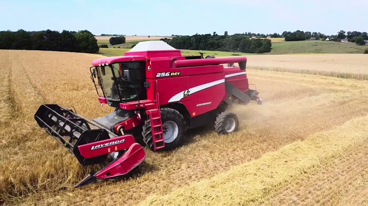 Moisson d’orge 2025