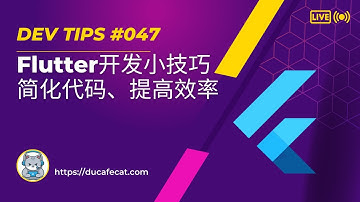 简化代码、提高效率：Dart和Flutter开发小技巧 | 独立开发猫哥
