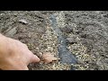 Why French Drains Fail - Must Watch!
