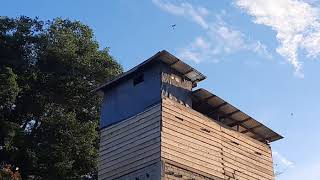 UJI SP ANONYMOUS DI MUSIM CUEK,PADA SIANG HARIRijal Tao