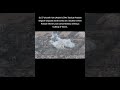 Aerial Footage: Ukraine's 39th Brigade Drops Aerial Bombs on Infantry #su27dcs  #airstrike  #combat