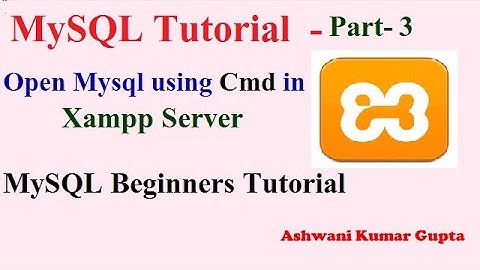 How To Open MySQL using Command Prompt (cmd) and PhpMyAdmin in XAMPP Server in HINDI | URDU
