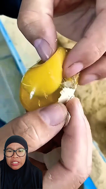 DOES ANYONE KNOW WHAT EGG THIS IS❓❓#shorts