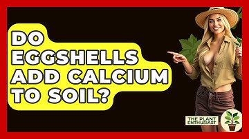 Do Eggshells Add Calcium To Soil? - The Plant Enthusiast