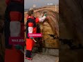 Woran starb Timmy? Ergebnis der Wal-Obduktion #timmy #hope #buckelwal #wal #obduktion #nachrichten