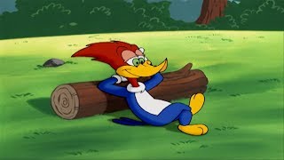 Woody Woodpecker Show | Woodsy Woody | Full Episode | Videos For Kids