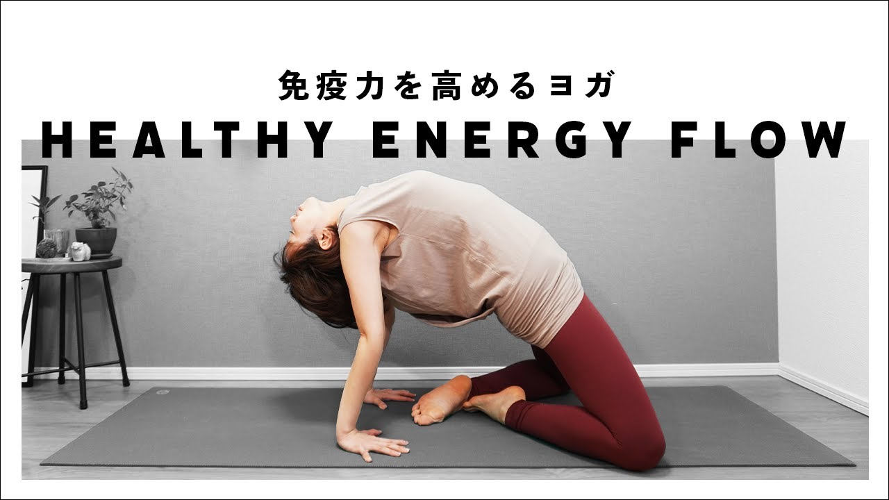 血行を良くして体温を上げて免疫力アップ。自律神経のお悩みの方にも。　セイシンV 30本 免疫力を上げる! 体温1度アップ健康法 (TJMOOK) | 石原 結實 |本