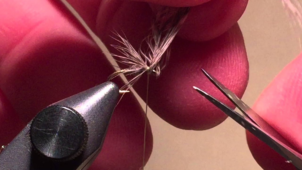 BWO's Fly Fishing Hatches Part V YouTube