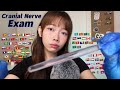 ASMR Cranial Nerve Exam in 70+ Different Languages (2 hours for sleep)