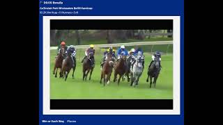 TODAY LIVE RACE FROM AUSTRALIA AT 0600 Benalla screenshot 2