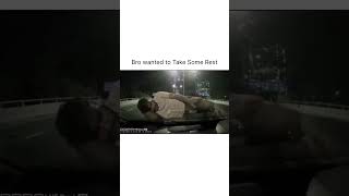 Sometimes The Internet Surprise You Need Isnt Drama Its Dinosaurs.