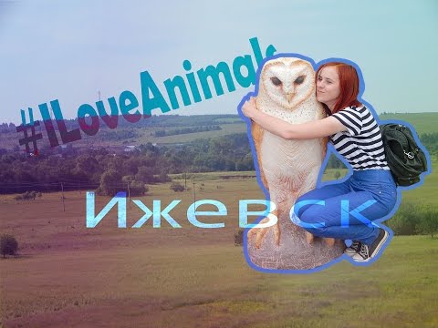 |Я ЛЮБЛЮ МУЗЕИ!?|ЭКСКУРСИЯ В ИЖЕВСК|