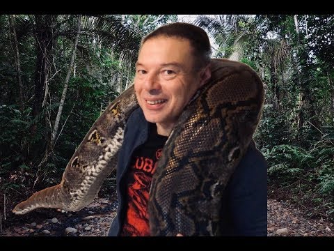 Dr Arnold: le Python Réticulé de Richard DIJOUX !