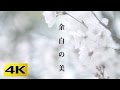 4k margin of beauty concept of ma 4k the gardens of kyoto japan