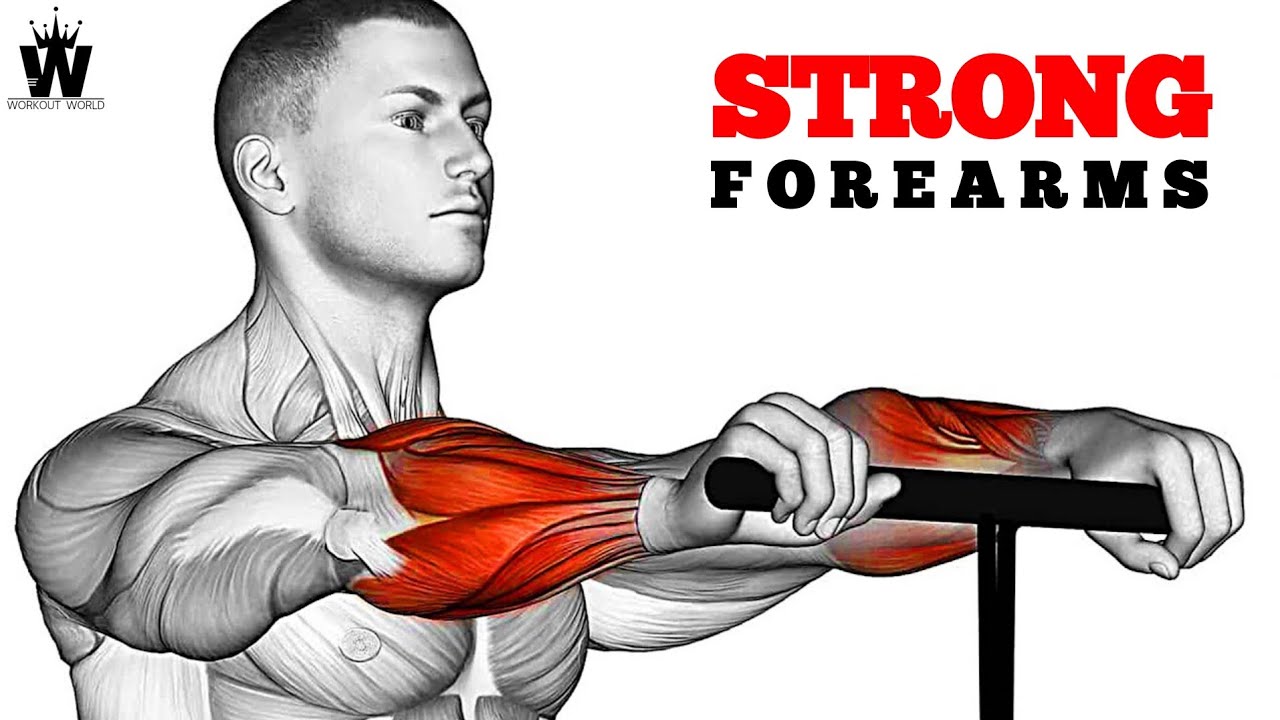 Best Bigger Forearms Workout and Results in 7 Days - YouTube
