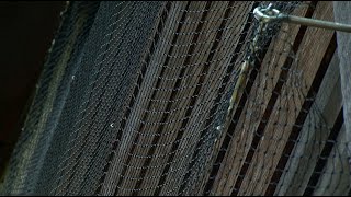 Using Netting to Deter Woodpeckers