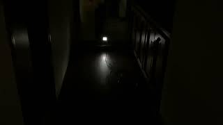 Runaway Kirby G4 screenshot 2