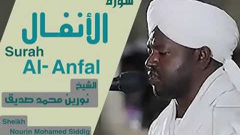 سورة الأنفال | الشيخ نورين محمد صديق | Surah Al-anfal