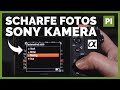 Fokussieren mit Sony Kamera - maximal scharfe Fotos - z.B. a7iii a6400